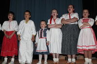 Den matek 2014