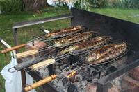 Časy