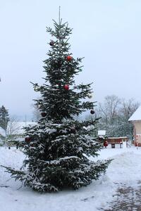 Časy