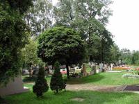 hřbitov
