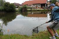 Časy