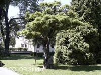 Park města Odry
