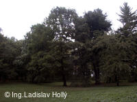 Arboretum Sola gratia, Bystřice pod Hostýnem