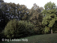 Arboretum Sola gratia, Bystřice pod Hostýnem