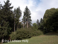 Arboretum Sola gratia, Bystřice pod Hostýnem