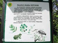 Naučná stezka KOTVICE