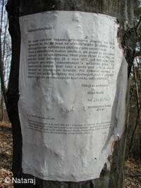 Skalka u Doks, cesta na zříceninu hradu Starý Berštejn
