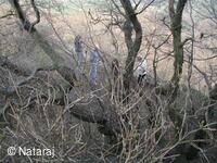 Skalka u Doks, cesta na zříceninu hradu Starý Berštejn