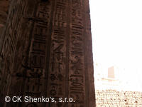 CK SHENKO´S