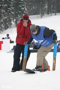 Dualsnow