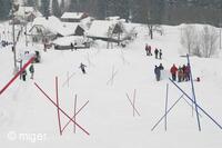 Dualsnow