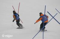 Dualsnow
