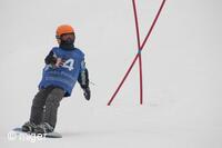 Dualsnow