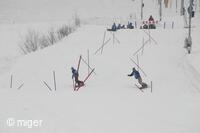 Dualsnow