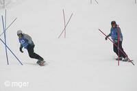 Dualsnow