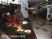 Výstaviště Flora Olomouc