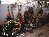 Výstaviště Flora Olomouc