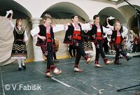 soubor Kytka