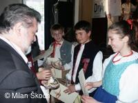 Jihočeské folklorní sdružení