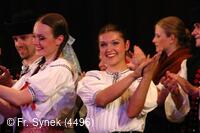 Mezinárodní armádní festival Rožnovská Valaška
