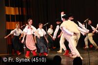Mezinárodní armádní festival Rožnovská Valaška