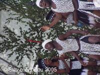 Mezinárodní folklorní festival Slavnosti pod Zvičinou
