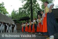 Mezinárodní armádní festival Rožnovská Valaška