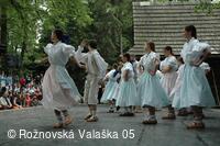 Mezinárodní armádní festival Rožnovská Valaška