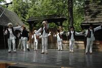 Mezinárodní armádní festival Rožnovská Valaška