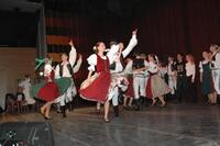 Mezinárodní armádní festival Rožnovská Valaška