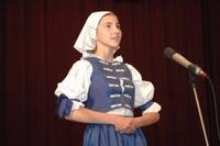 Mezinárodní armádní festival Rožnovská Valaška