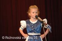 Mezinárodní armádní festival Rožnovská Valaška