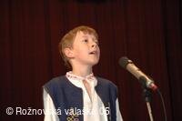 Mezinárodní armádní festival Rožnovská Valaška