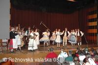 Mezinárodní armádní festival Rožnovská Valaška