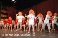 Mezinárodní armádní festival Rožnovská Valaška