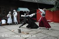 Mezinárodní armádní festival Rožnovská Valaška