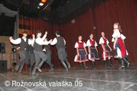 Mezinárodní armádní festival Rožnovská Valaška