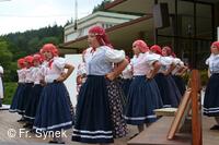 Mezinárodní folklorní festival Písní a tancem