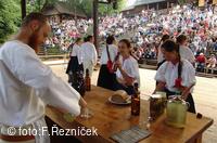 Folklorní festival Slezské dny