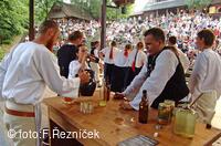 Folklorní festival Slezské dny