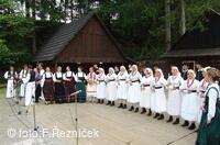 Folklorní festival Slezské dny