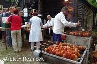 Folklorní festival Slezské dny