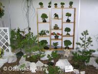 život na zahradě 2005