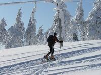 Skialpy