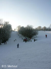 Svinec 15.1.2006, Nový Jičín