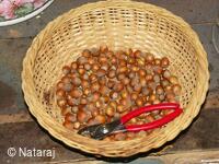 Tantra NATARAJ Skalka u Doks