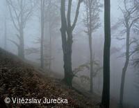 Hukvaldy 039