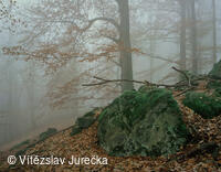 Hukvaldy 042
