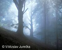 Hukvaldy 001