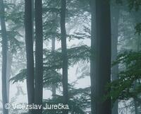 Hukvaldy 006